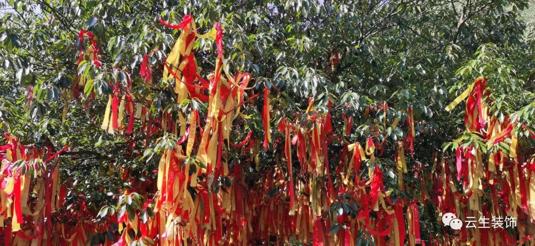 1659664256817376.jpg 微信图片_20220805094844.jpg